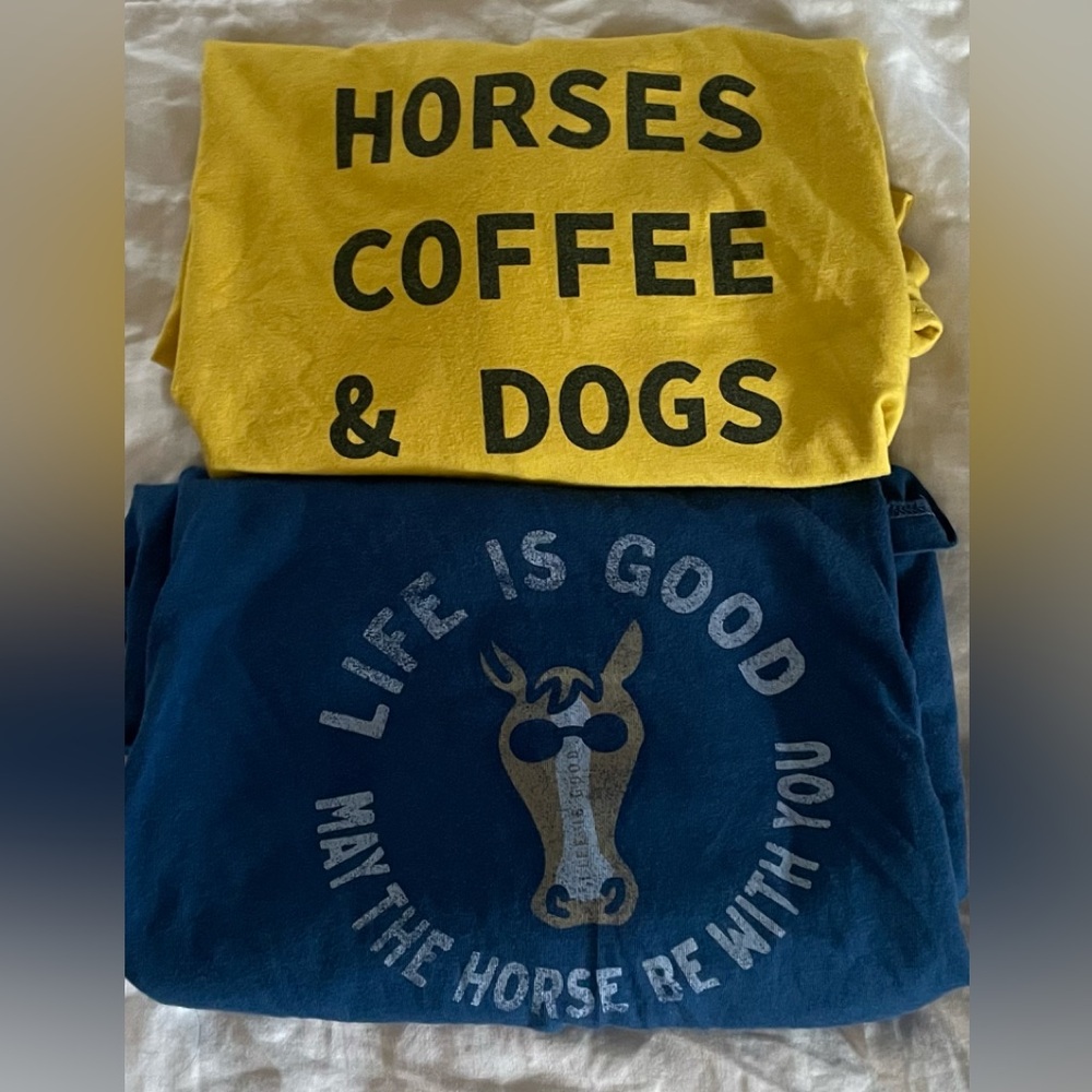 Set of 2 equestrian t-shirts